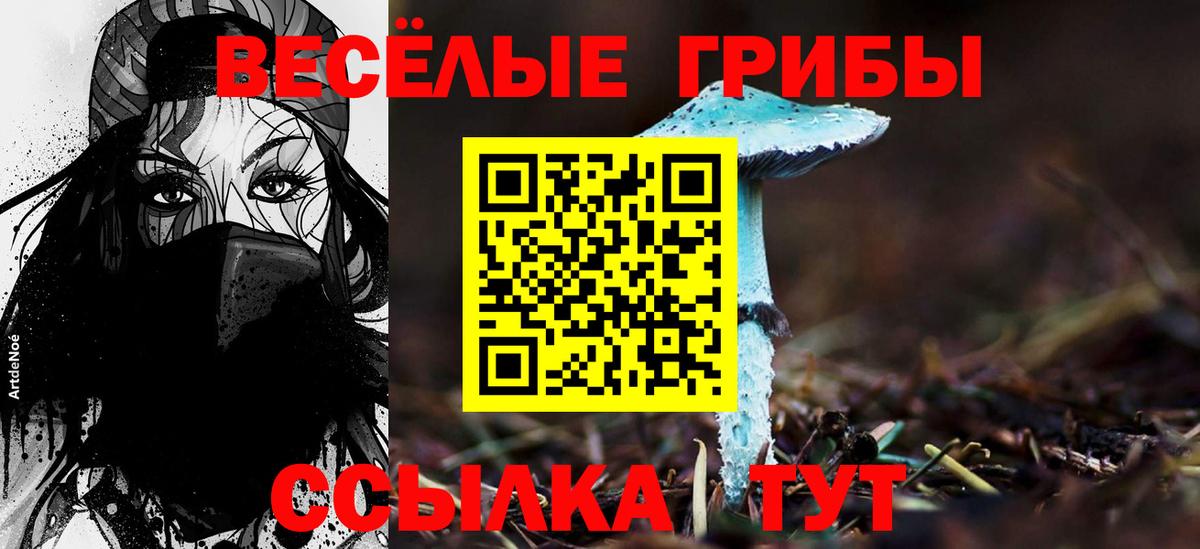 Каспийск  Галлюциногенные грибы Cubensis  Вход с VPN 